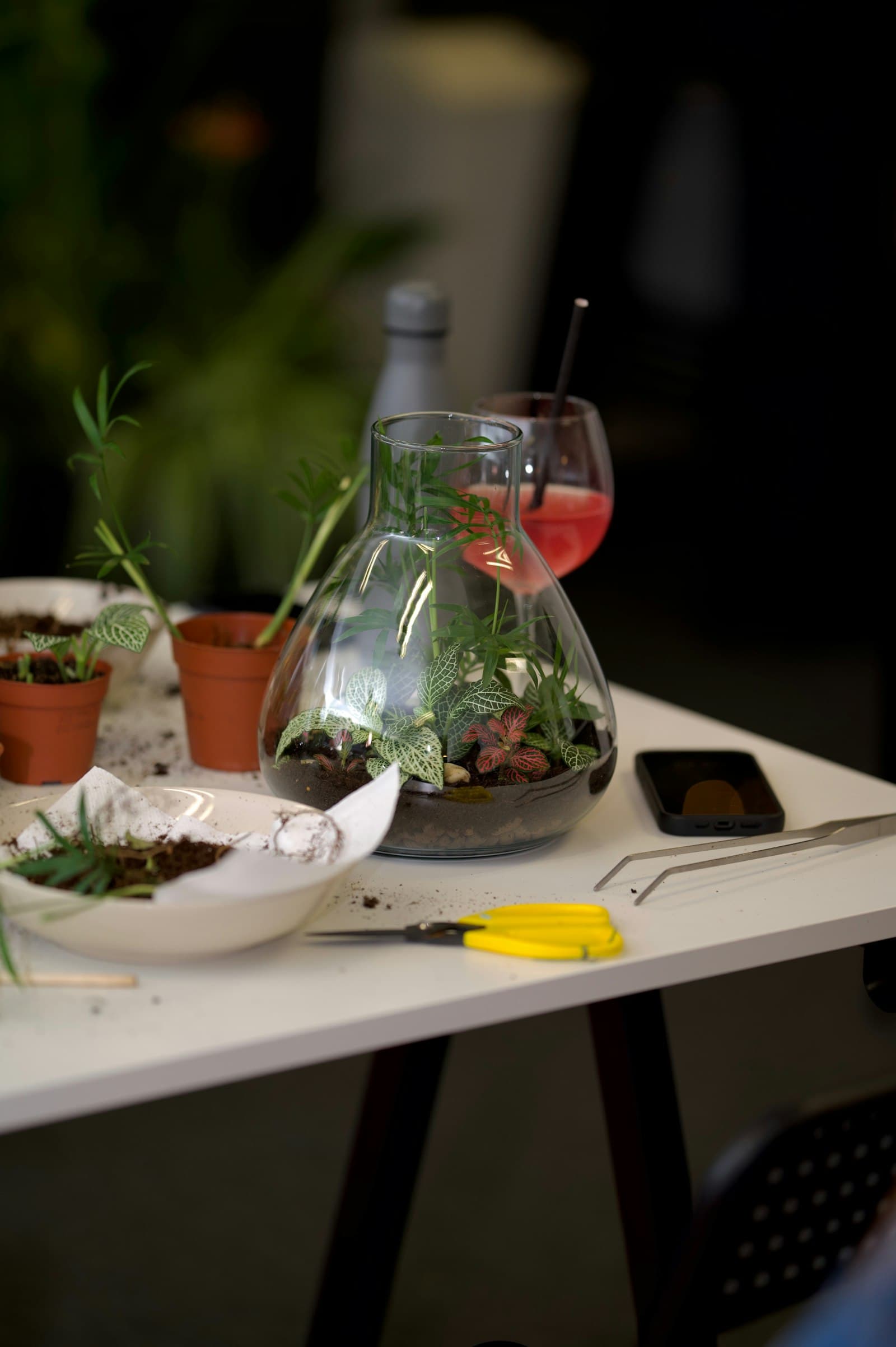 A terrarium being planted on a work table
